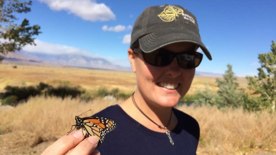 Rachel monarch butterfly