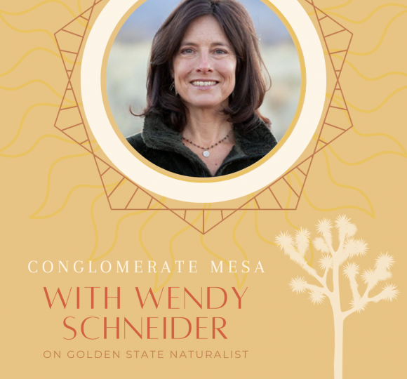 Interview with Wendy Schneider